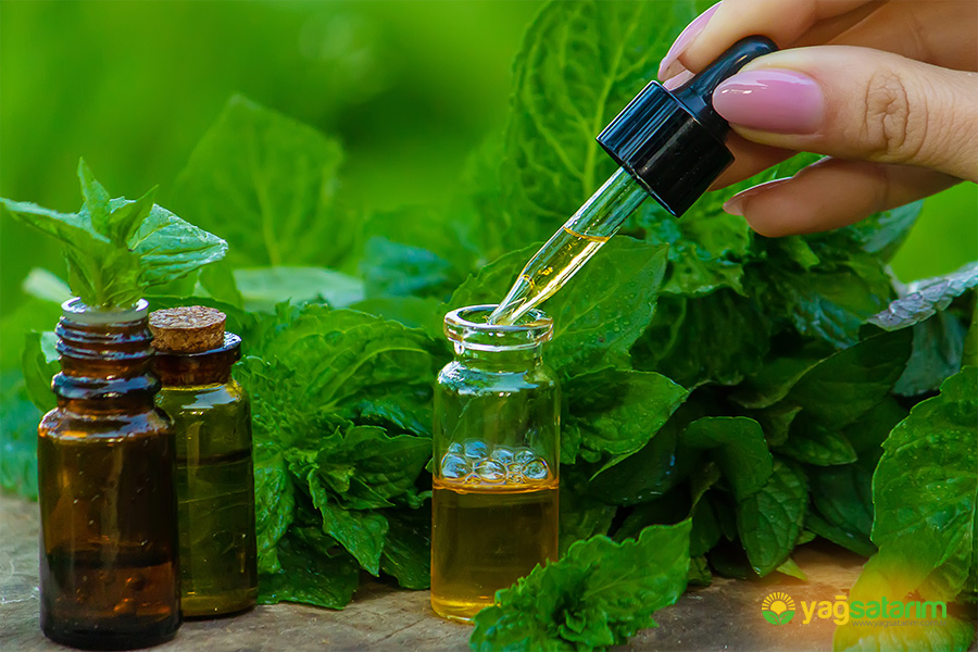 yagsatarim.com.tr - GALERİ - 3