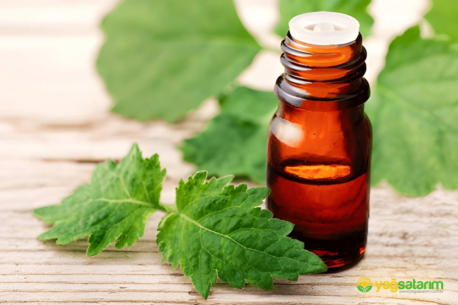 yagsatarim.com.tr - PAÇULİ UÇUCU YAĞI 10 ML